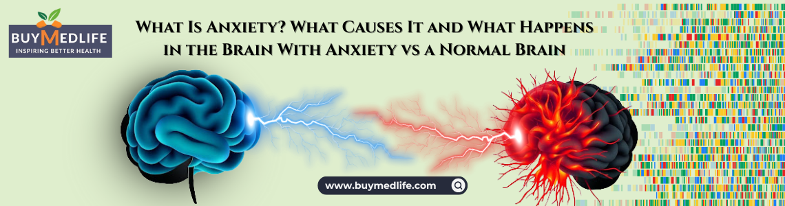 What Is Anxiety? What Causes It and What Happens in the Brain With Anxiety vs a Normal Brain